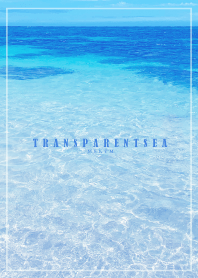 TRANSPARENT-SEA.HAWAII