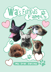 Wa's Furkids Family!The dear darling