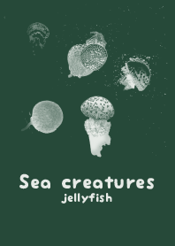海の生き物-クラゲ サイプレスグリーン