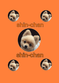 cute shin-chan