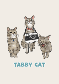 tabbycat11 / beige