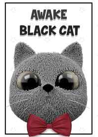 Awake Black Cat