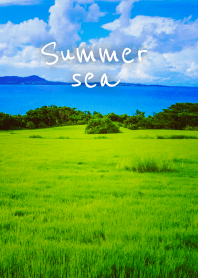 -summer sea-