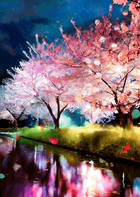 Beautiful night cherry blossoms#1231