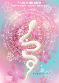 Sakura and Rising white snake