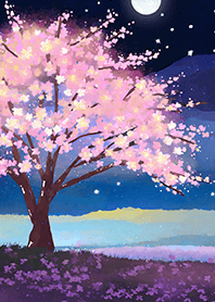 Beautiful night cherry blossoms#523