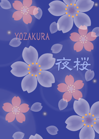 YOZAKURA ~Cherry Blossoms at night