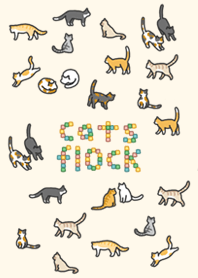 Cats flock