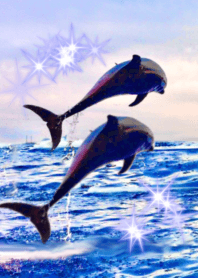 lucky two dolphins sea 2