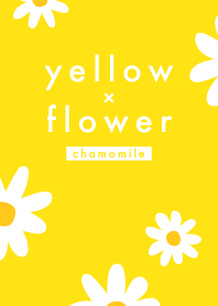 Yellow x Flower (chamomile)