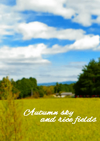 Autumn sky and rice fields