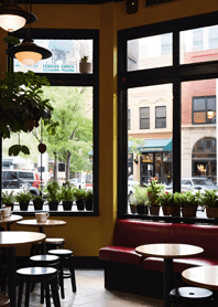 Bright Moon and Dawn cbD312