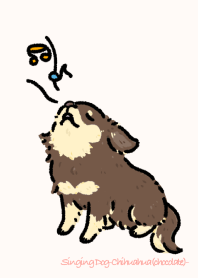 Singing Dog-Chihuahua(chocolate)-