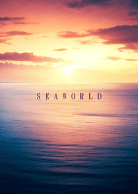 SEA WORLD-Sunset 58