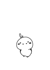 rabbit staring-126