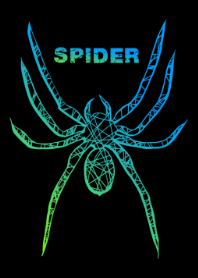 SPIDER ver Line drawing