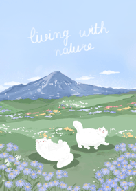 Daddy | living with nature