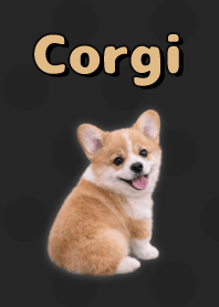 코기 테마 B/W 02