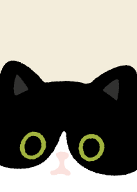 はちわれ猫と黒猫8