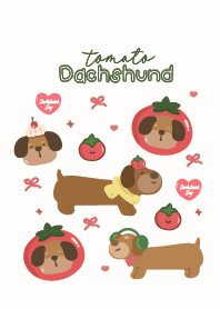 หมาไส้กรอกดัชชุนน่ารัก : มะเขือเทศ