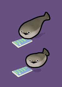 awaiting reply Sakaban snapper(Purple)