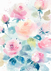 Beautiful rose flower(R4252)