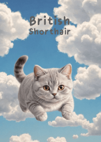 British Shorthair On The Sky theme 2