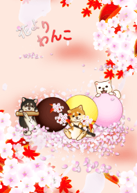 花よりわんこ６（柴犬、桜、秋、紅葉）