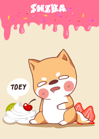 TOEY ใครไม่บะ ชิบะ 4 V08 e