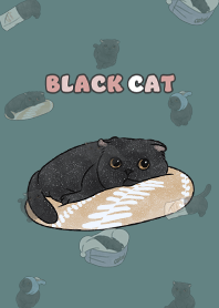 blackcat6 / dark cadet blue