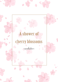 A shower of cherry blossoms -white-