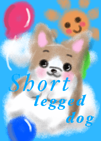 Short-legged dog