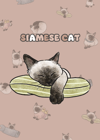 siamesecats4 / nude
