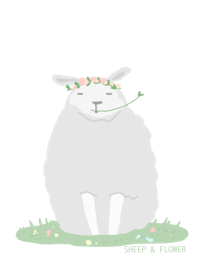 Sheep flower