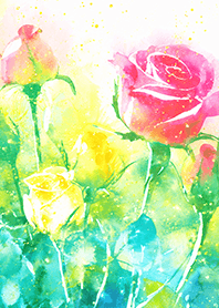 Beautiful rose flower(R1157)