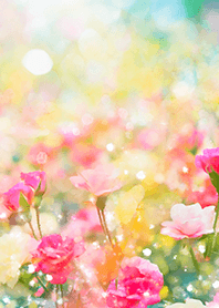 Beautiful rose flower(R3383)