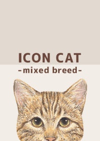 ICON CAT - Mixed breed cat - BROWN/15