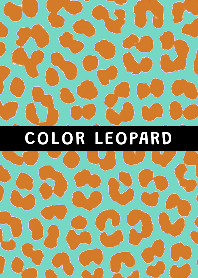 COLOR LEOPARD THEME @89