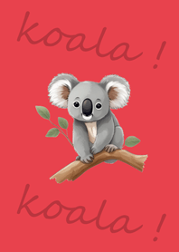 look! It's a koala!(bright red)