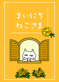 Every day Cat18 Marigold.