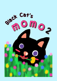 Black Cat's Momo 2