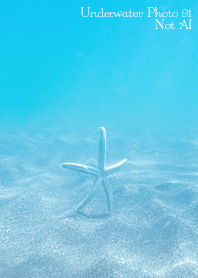 Underwater Photo91 Not AI