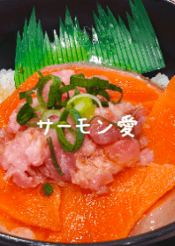 Vibrant Salmon & Tuna Donburi