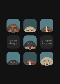 DOGS - dachshund - CLASSY BLUE