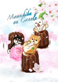 mame shiba dogs on canele !