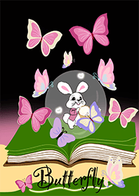 butterfly  butterfly