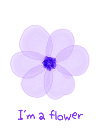 Eu sou uma flor