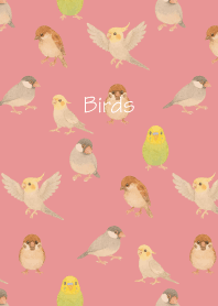 Birds3 on light pink
