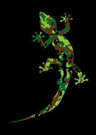 Camouflage Gecko