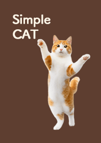 Simple CAT - Brown color